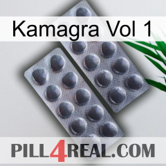 Kamagra Vol 1 31